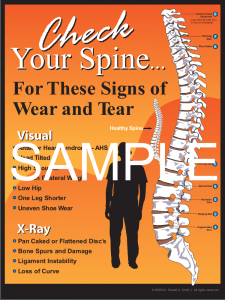 An Awesome Chiropractic Posture Poster By Dr. Russel A. Smith D.C.