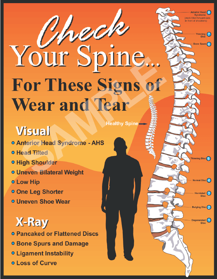 check your spine sample